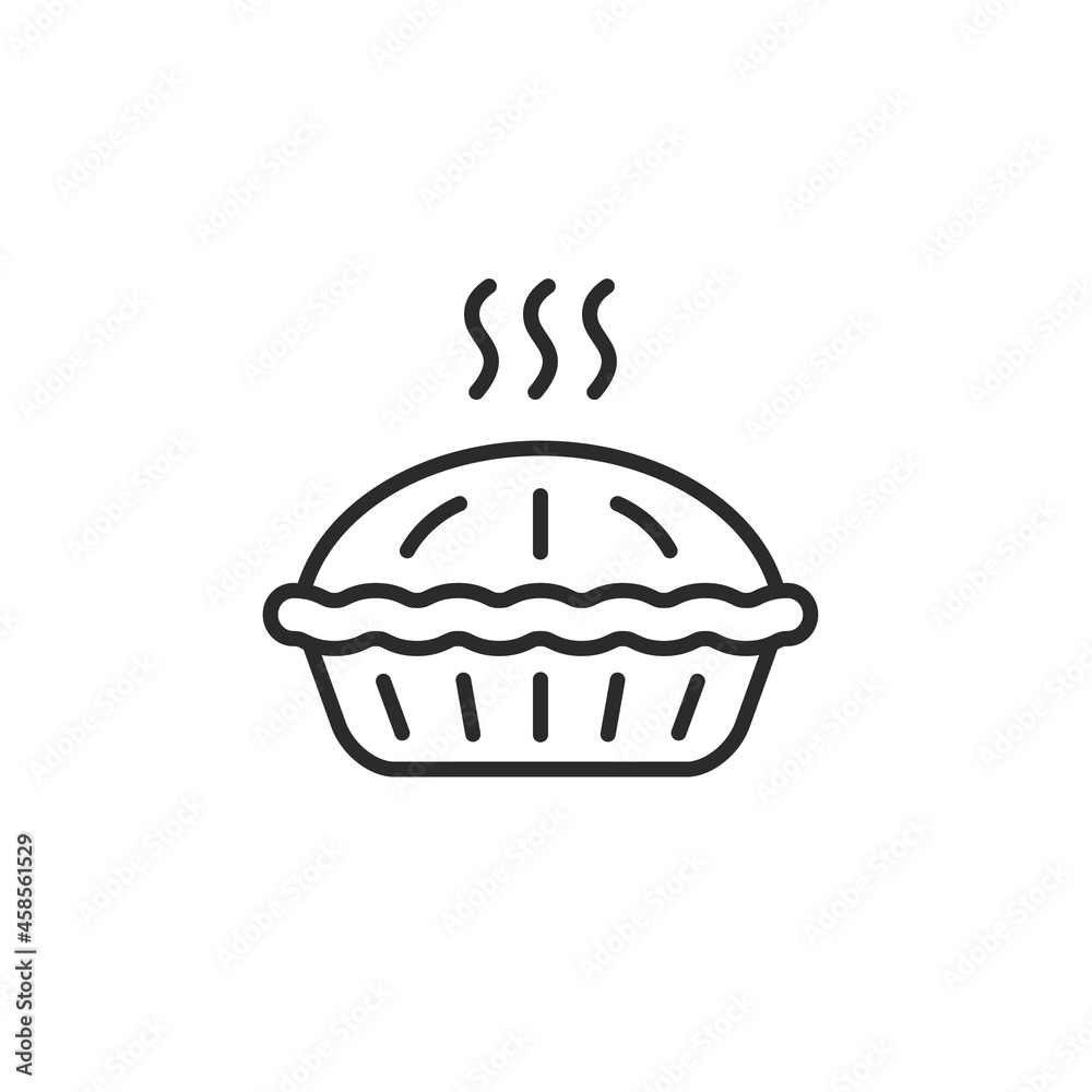 Pie icon. Thin line pie icon isolated on white background. Icon for web design and social media. Vector illustration 