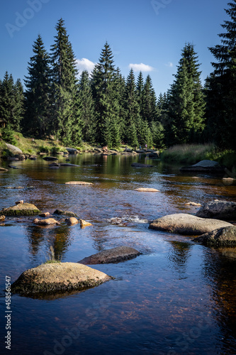 A landscape of Izera Mountains, Sudetes, Poland. Stones in the river, green forest in background. 