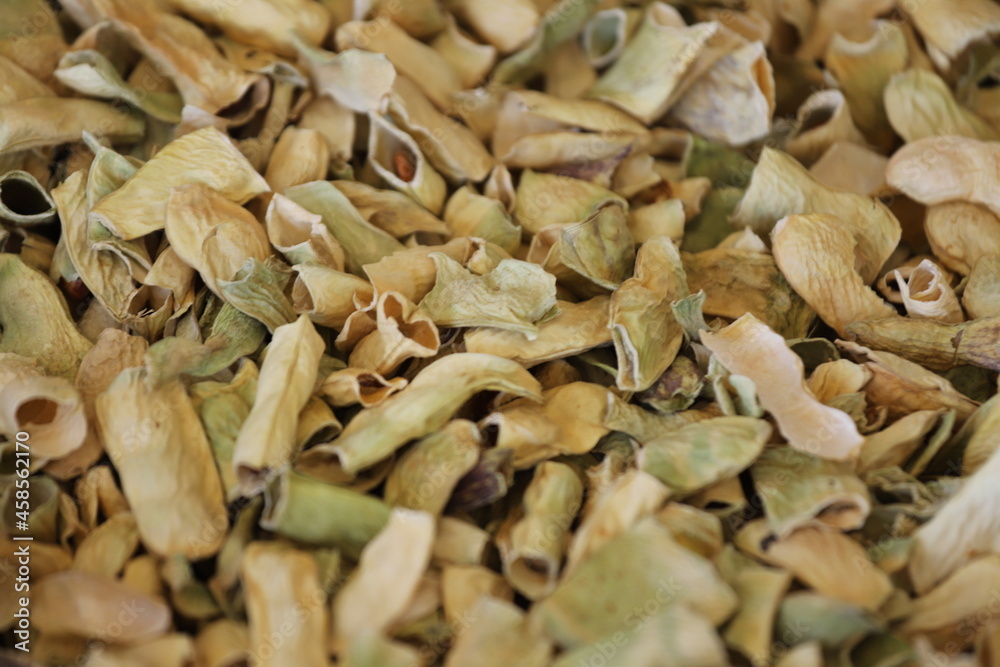 close up of dried cloves