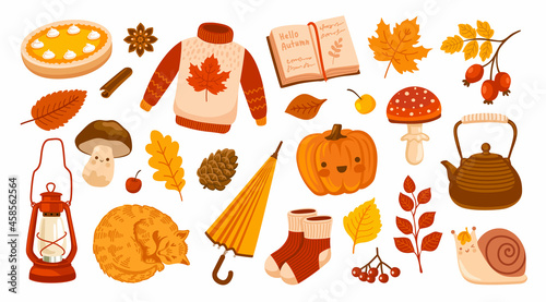 Set of autumn vector illustrations. Cozy sweater, foliage, pumpkin pie, red cat, kettle, red lantern, umbrella and mushroom. Collection of fall season scrapbook elements and concepts.