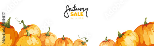 Banner with watercolor pumpkins. Vector illustration in watercolor painting style. Background, vector illustration for autumn sale.	