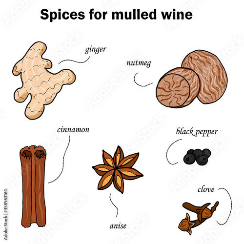 Spices for mulled wine. Hand drawing. Vector illustration in a cartoon style.