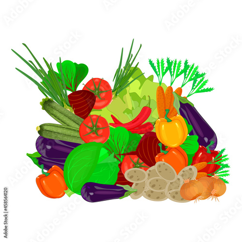 Pile fresh vegetables isolated on white background.Heap of different ripe organic vegetables and greens.Harvest of healthy raw food,farm products.Big group greenstuff for nutrition.Vector illustration photo