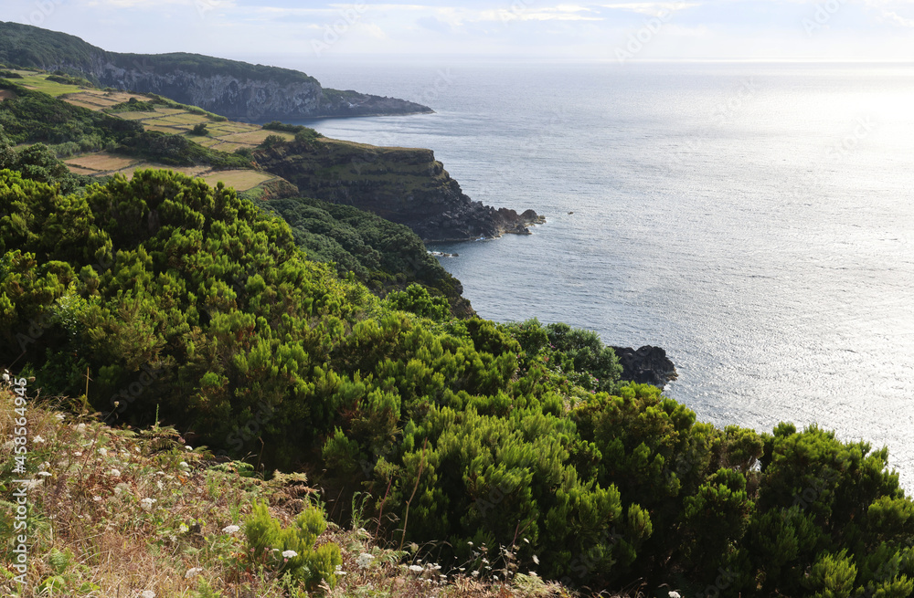 The Atlantic coast, Terceira island, Azores