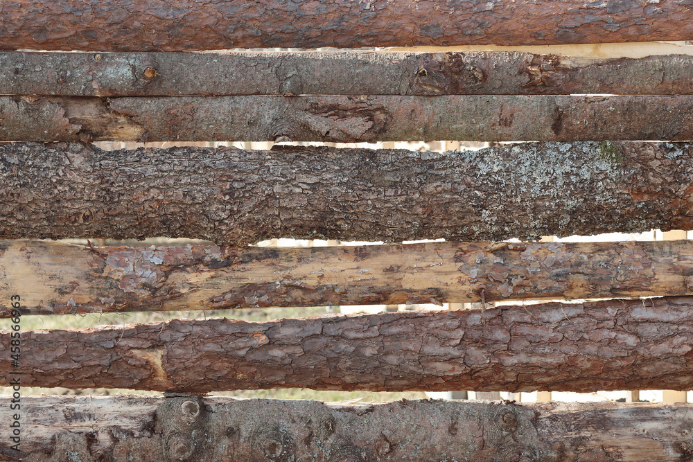 Background, a shield from boards of coniferous trees. Background, a shield from boards of coniferous trees.