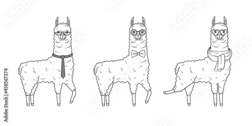 A collection of cute llamas with accessories - glasses, scarf and ties. Vector illustration in cartoon style isolated on white background
