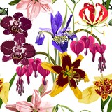 Seamless background from a flowers ornament, fashionable modern wallpaper or textile. Illustration bleeding heart (Dicentra spectabilis), irys, lilies, orchids flowers background.