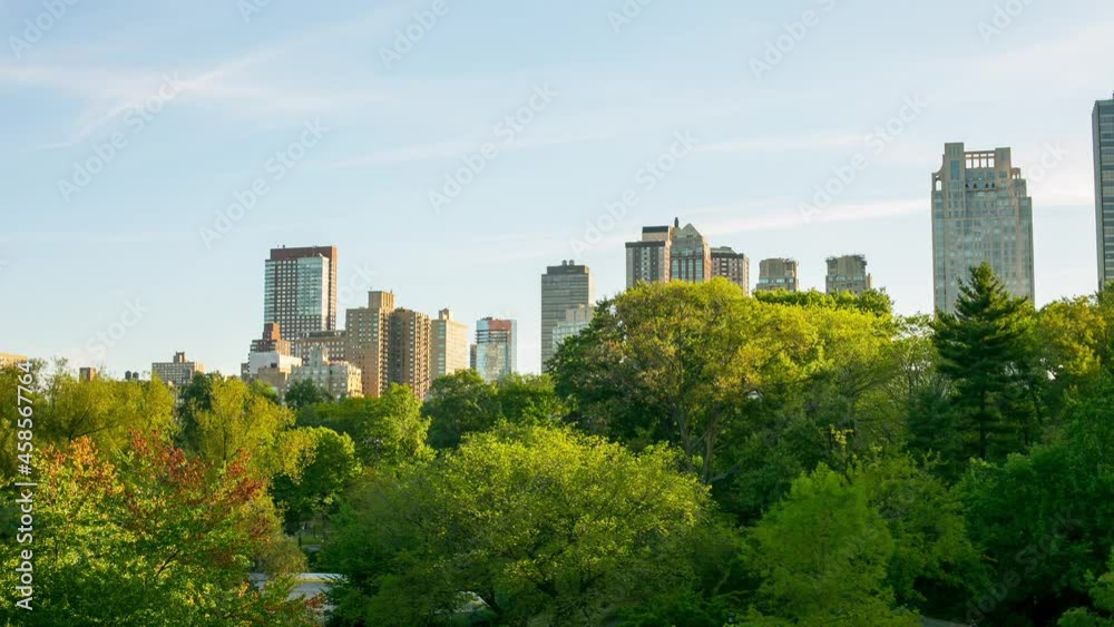 sunny day in central park 4k timelapse from new york sunny day in central park 4k timelapse from new york