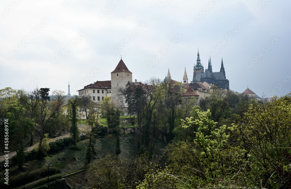 view of Prague Castle through a deer moat from the west side 