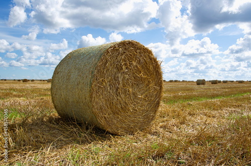 A bale of hay in the field.