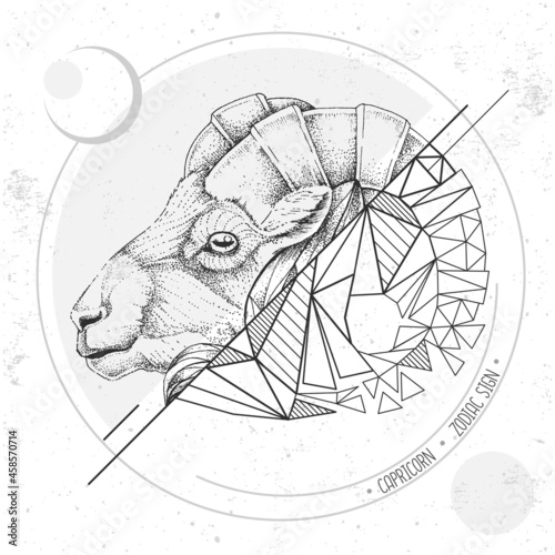 Realistic hand drawing and polygonal ram of mouflon head illustration. Magic card with Capricorn zodiac sign photo