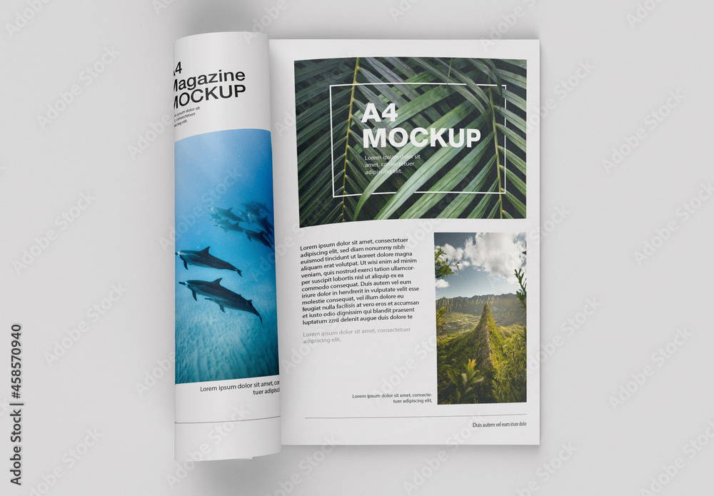 Matte Magazine Mockup Top View Stock Template Adobe Stock