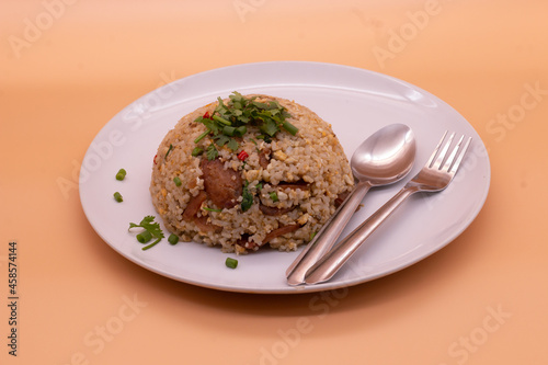 Asian food. Fide Jasmin rice white sausage served on the white plate. side view