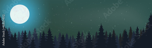 Starry Night Vector with conifers