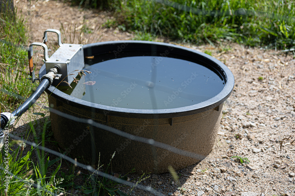 High angle shot of a bucket with water with connected pipe in garden under sunlight. High angle shot of a bucket with water with connected pipe in garden under sunlight.