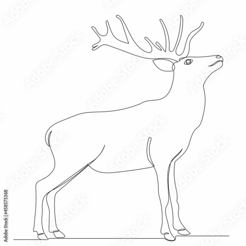 one continuous line drawing of a deer with antlers  sketch