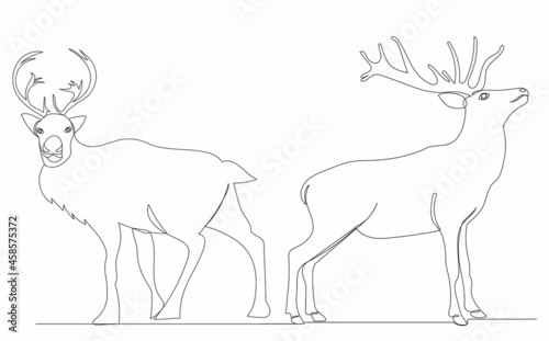 continuous line drawing of a deer with antlers