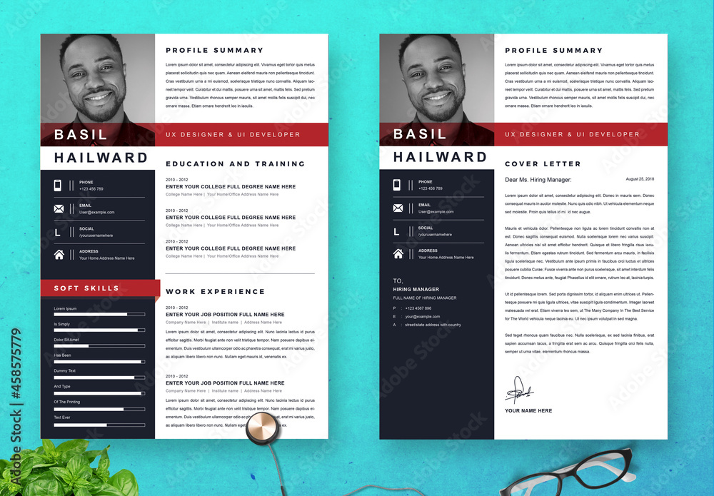 Professional Resume Layout Stock Template Adobe Stock