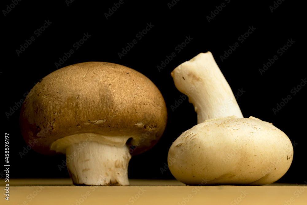 White and brown mushrooms on a black background, organic and natural ingredient concept White and brown mushrooms on a black background, organic and natural ingredient concept
