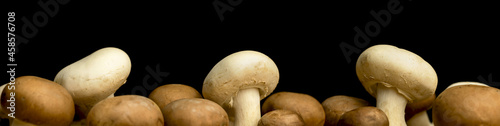 Mushrooms banner on a black background, copy space photo, organic and natural ingredient concept