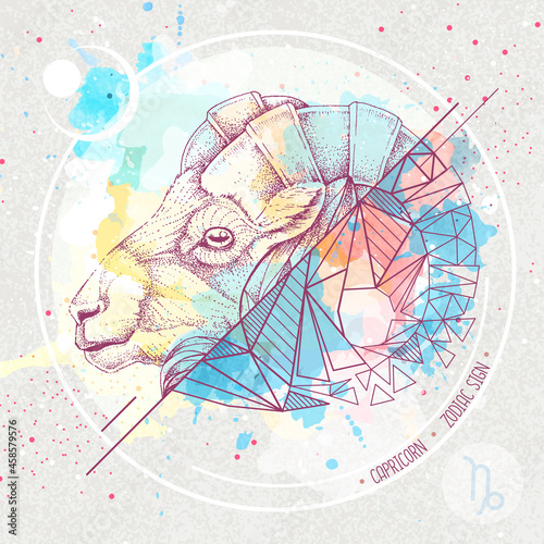 Realistic hand drawing and polygonal ram of mouflon head illustration on watercolor background. Magic card with Capricorn zodiac sign