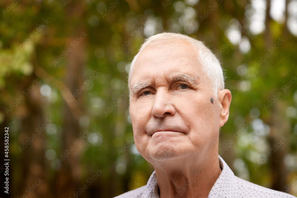 Porter of a gray-haired elderly man on a green background in the forest or in the park. Grandfather posing Porter of a gray-haired elderly man on a green background in the forest or in the park. Grandfather posing