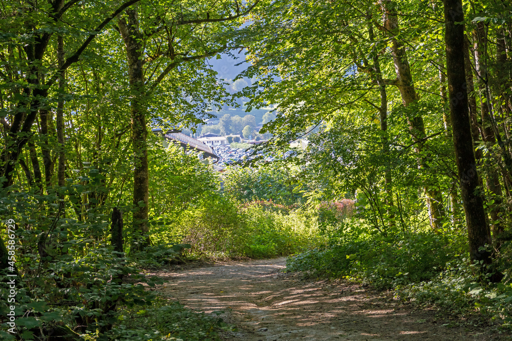 Fototapeta premium Wanderweg 