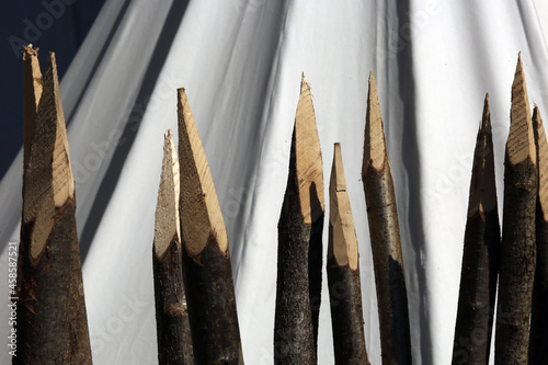 Φωτογραφία Closeup of the sharpened wooden stakes.