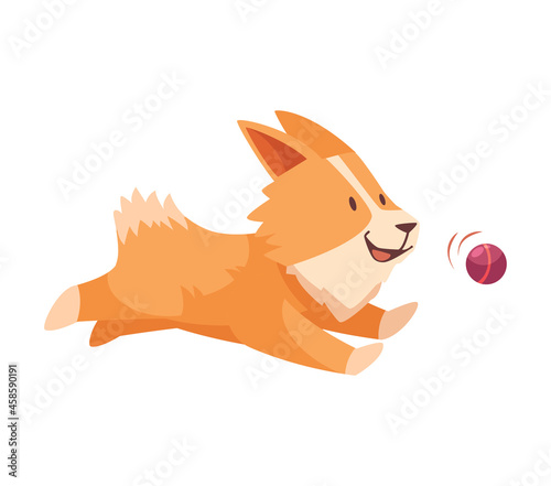 Playing Dog Illustration