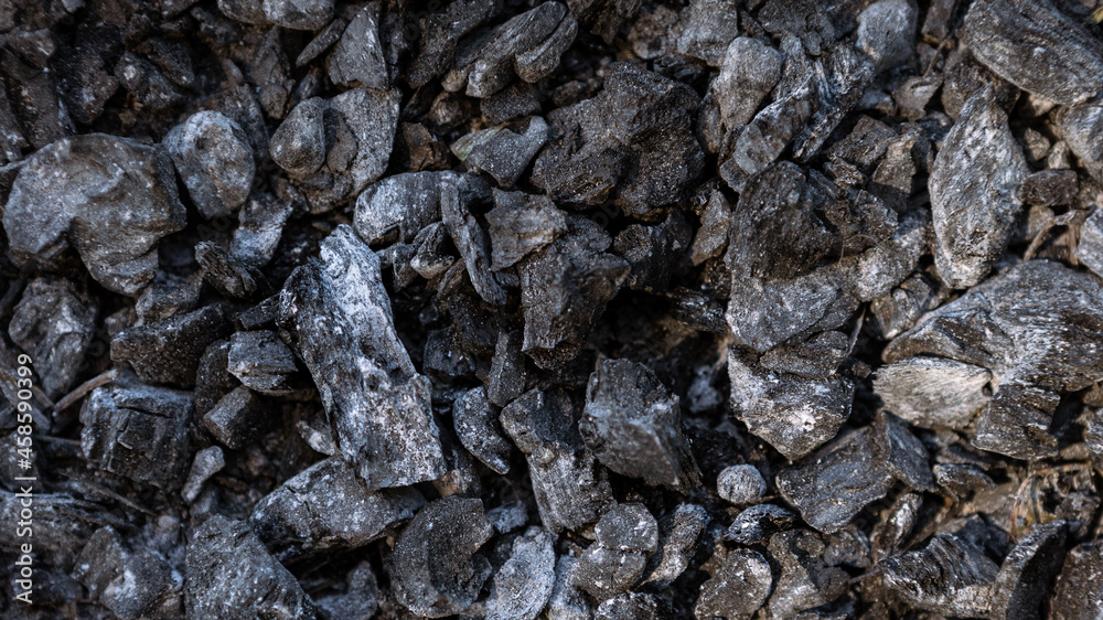 Scattered pieces of embers in hearth mixed with ash. Black charcoal briquettes Scattered pieces of embers in hearth mixed with ash. Black charcoal briquettes