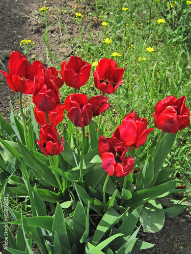 Spring bouquet.Composition 1.
