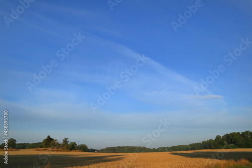 Vast view over a Swedish field with crops in August. Nice photo and landscape. Outside a sunny morning. Vallentuna, Stockholm, Sweden, Scandinavia, Europe.