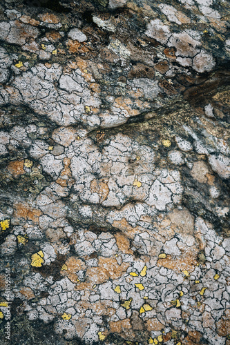 A cracked ground surface texture with rim lichens photo
