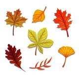 flat autumn leaves collection vector design illustration