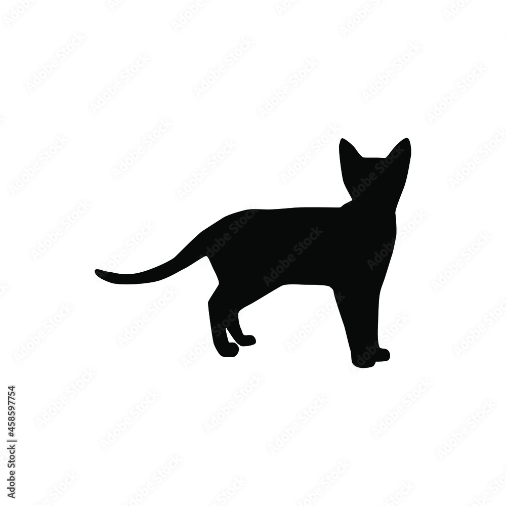 Cat icon vector. pet illustration sign. tomcat symbol. animal logo.