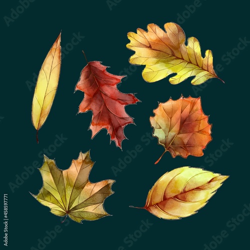watercolor style autumn leaves collection vector design illustration
