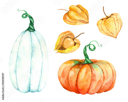 Set of watercolor pumpkin and physalis elements for creating a collage, digital paper, scrapbooking, children's creativity, cards, invitations