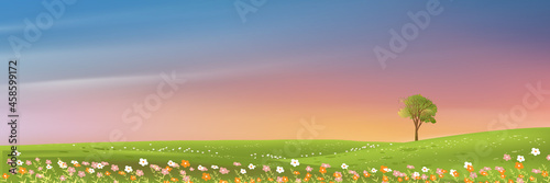 Spring rural landscape with morning sky and single tree on green grass fields,Natural farmland with wild flowers and meadow with colourful sunset in evening,Vector horizon banner on spring or summer © Anchalee