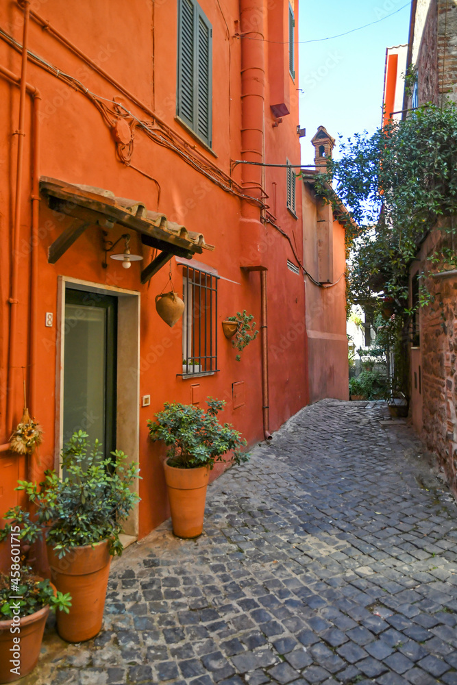 A narrow street in Nemi, a medieval town overlooking a lake in the province of Rome, Italy. A narrow street in Nemi, a medieval town overlooking a lake in the province of Rome, Italy.