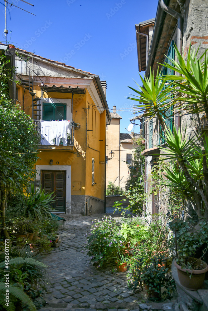 A narrow street in Nemi, a medieval town overlooking a lake in the province of Rome, Italy. A narrow street in Nemi, a medieval town overlooking a lake in the province of Rome, Italy.