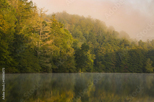 Evergreen trees and mist reflecting on still lake