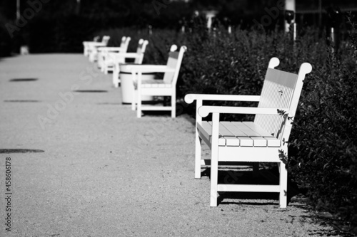 white benches in park