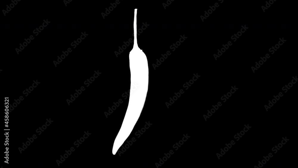 Chili pepper spin and float - isolated on black, neutral gray or white. Fresh red chili rotate in seamless loop for compositing projects - alpha channel included.