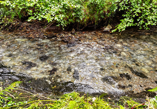 River Lyd - Lydford Gorge, Dartmoor National Park, Devon, United Kingdom photo