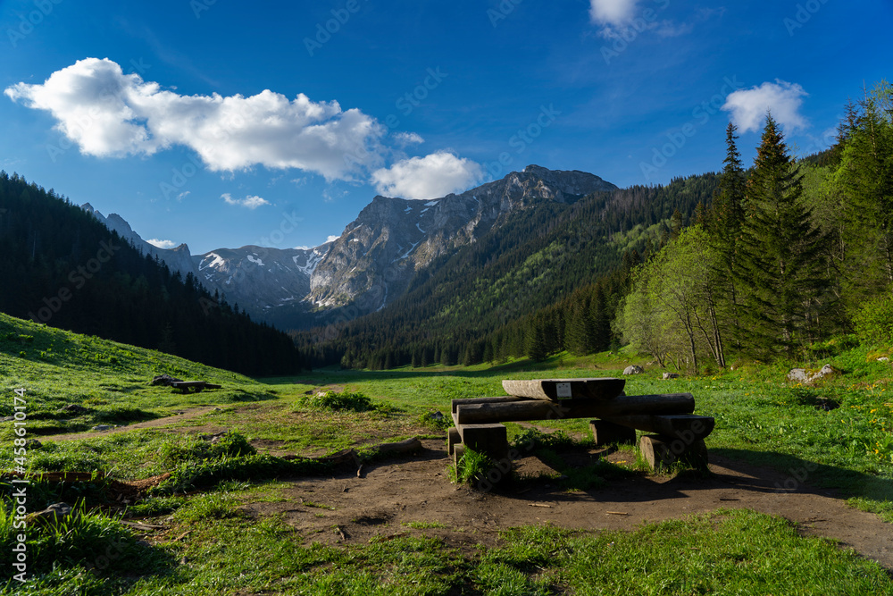 Small Meadow Valley (Dolina Małej Łąki) - bench in the mountains. Tatry mountains Poland Small Meadow Valley (Dolina Małej Łąki) - bench in the mountains. Tatry mountains Poland