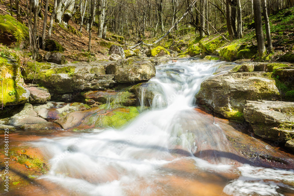 Beautiful, colorful mountain creek cascading through the thick forest on Old mountain