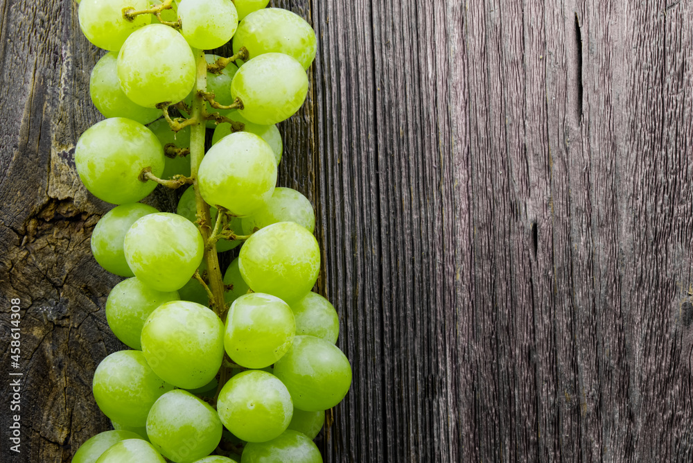 Top view of a full branch of green grapes on dark wood background with copy space Top view of a full branch of green grapes on dark wood background with copy space