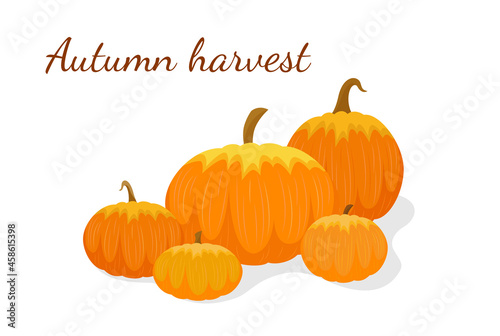 Autumn harvest concept. Pumpkins composition. Thanksgiving holiday. Pile of fall pumpkins isolated. Vector illustration