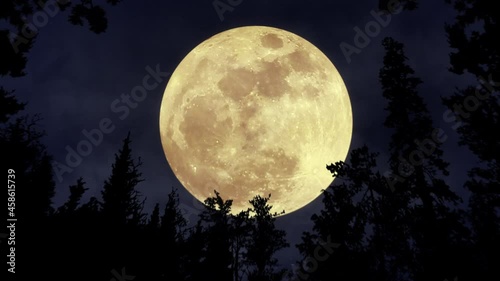 Bright glowing full moon in the sky. Mystery Moonshine. Dark blue night, evening sky. Forest, trees silhouettes on the front. Halloween mood. 3D render. Aerial landscape. Seamless loop 4K animation
