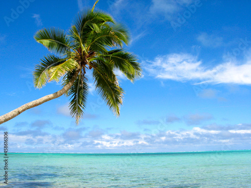 Tropical palm over turquoise blue water of a Pacific island - Huahine, Polynesia, South Pacific...